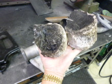 SAMS Works Blog