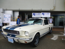 SAMS Works Blog